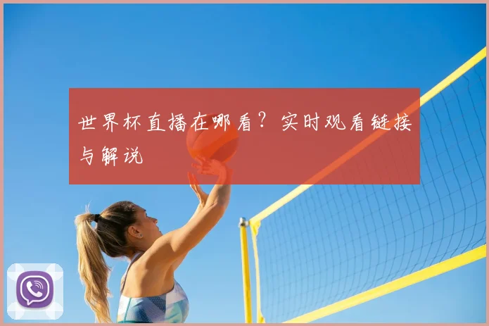 世界杯直播在哪看？实时观看链接与解说