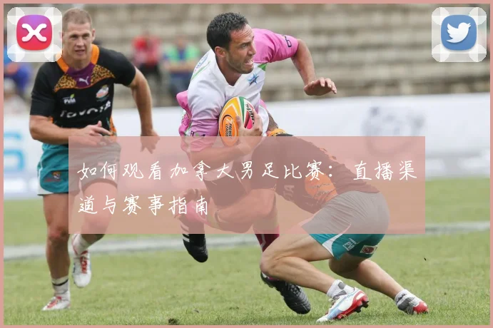 如何观看加拿大男足比赛：直播渠道与赛事指南